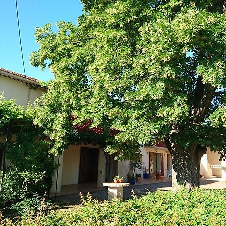 Les Prairies Mas Roux Guest House Raphèle Екстериор снимка