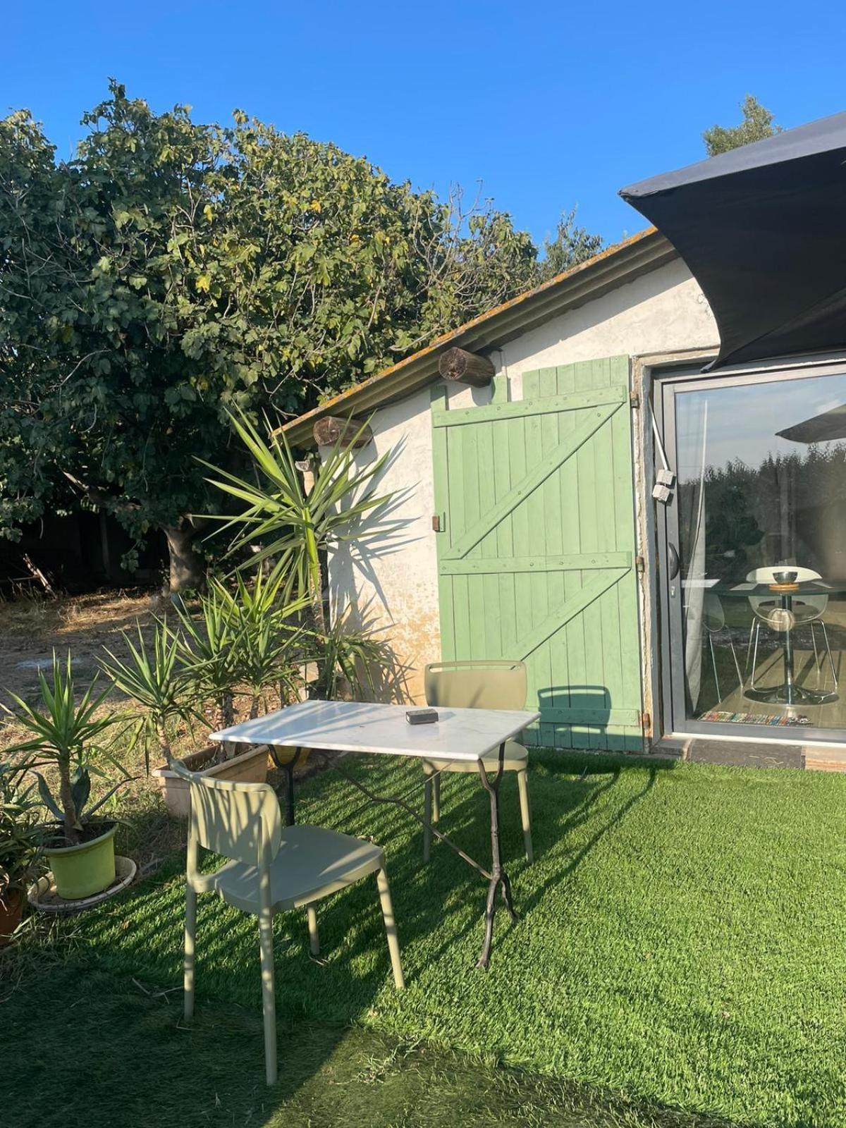Les Prairies Mas Roux Guest House Raphèle Стая снимка