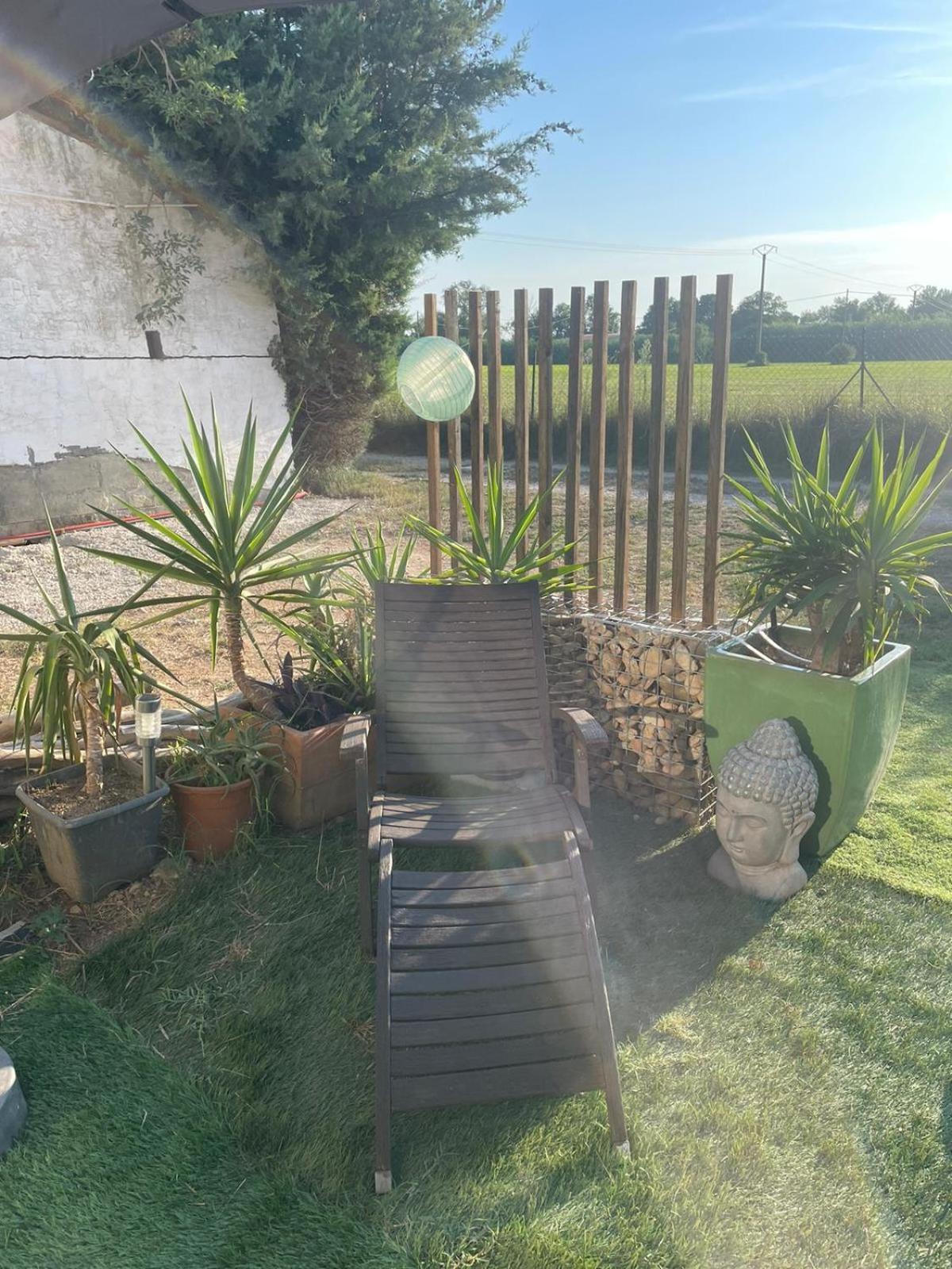 Les Prairies Mas Roux Guest House Raphèle Стая снимка