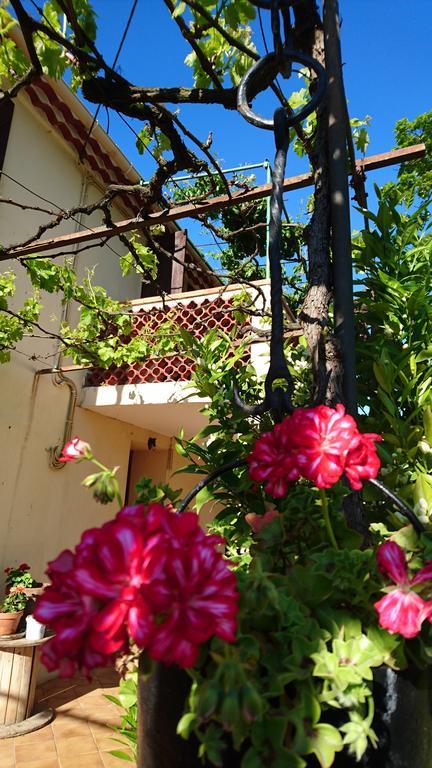 Les Prairies Mas Roux Guest House Raphèle Екстериор снимка